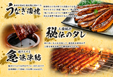 ＜ご家庭用＞うなぎ 鰻楽 国産 蒲焼 2尾 計240g以上（120g×2尾）おすすめ 冷凍 簡単調理 個包装 鰻 魚介【B666】