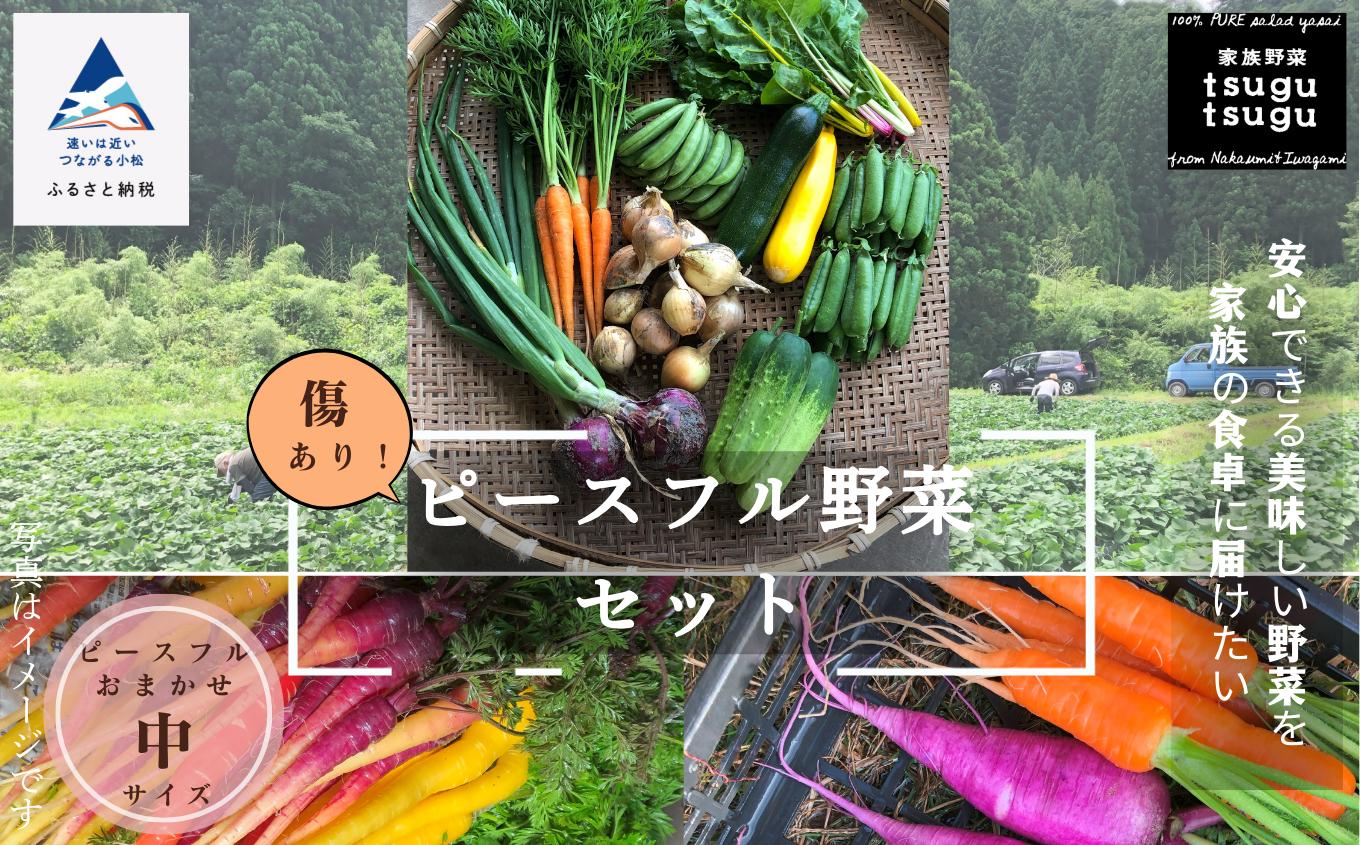 
【化学肥料不使用】傷あり！ピースフル野菜セット(中)
