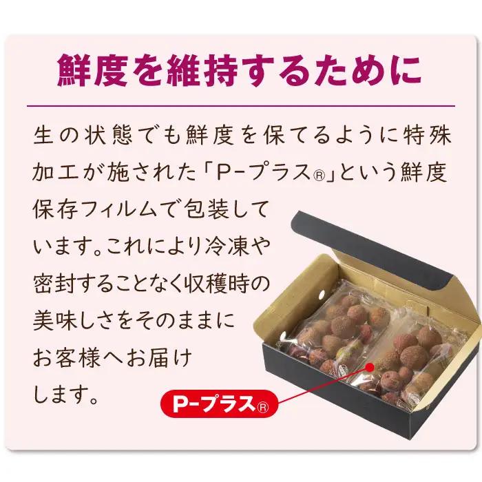 A1-22564／【 訳あり品 】【 期間限定 】 生ライチ 500g 訳あり 温泉水で育てた希少な 国産 ライチ ！