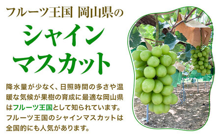 ご家庭用  岡山県産 シャインマスカット 化粧箱入り 3房 (約2kg) 