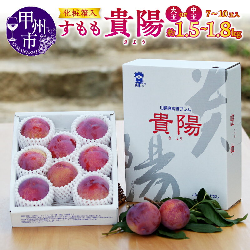 【ふるさと納税】 すもも 貴陽 果物 選べる内容量 約1.5kg 約1.8kg 化粧箱 中玉 大玉 7～10玉 2025年発送 7月 8月 発送 フルーツ 果物 甘い 果実 くだもの 産地直送 甲州市産 宿沢フルーツ農園 山梨県 甲州市 (SF)