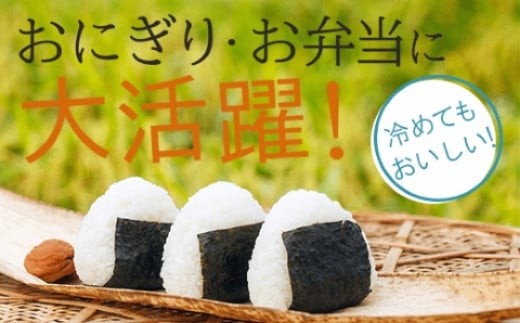 【先行予約】令和8年産 小松産 ゆめみづほ 精米 20kg（5kg×4袋） 米 お米｜石川県 小松市 ＪＡ小松市