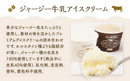 オハヨー乳業 ジャージー牛乳アイスクリーム 120ml×10個（ミルク・コーヒー）ギフト