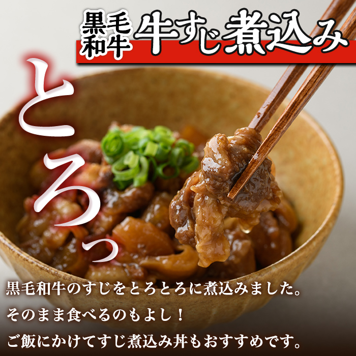 i828 鹿児島県産 簡単おかず煮込み３種類(計1.3kg)【カミチク】