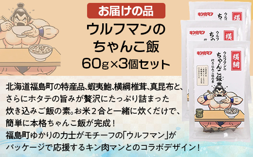 ウルフマンのちゃんこ飯　３個セット FKB058