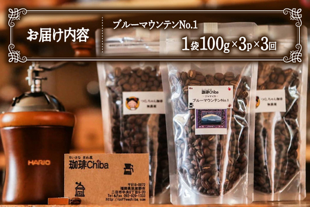 【3回定期便】 コーヒー豆 ブルーマウンテン 100g 3パック