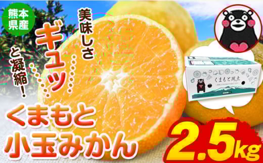 訳あり みかん くまもと小玉みかん 約 2.5kg (2.5kg×1箱)  蜜柑 柑橘 《2025年10月中旬-12月末頃出荷》 ご家庭用 小玉 たっぷり 熊本県産 S-3Sサイズ 期間限定 フルーツ 5000 g 旬 柑橘 長洲町