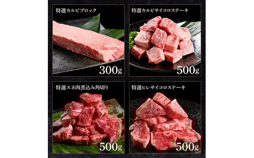 土佐あか牛協会が認定する「土佐熟成あかうし」8種（合計3.3kg）サイコロステーキ ロース カルビ スネ ヒレ サーロイン ブロック肉 特選 赤身 牛 牛肉 和牛 国産 天下味 エイジング工法 熟成肉