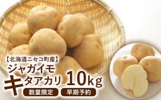 【北海道ニセコ町産】ジャガイモ　キタアカリ LMサイズ　10kg　＜数量限定・2025年早期予約・10月より出荷予定＞【0202402】