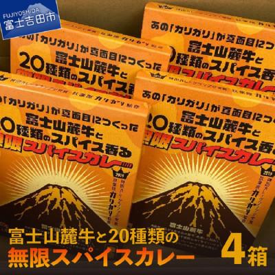 ふるさと納税 富士吉田市 富士山麓牛と20種類の無限スパイスカレー(レトルトカレー中辛200g1人前×4箱)