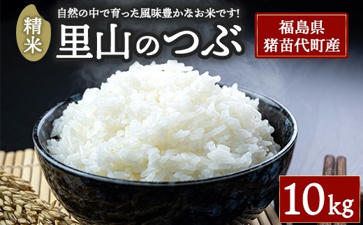 令和7年度産 里山のつぶ 精米 10kg   | 米 こめ 白米 精米 ごはん お米 10キロ 国産米 ブランド米 銘柄米 オリジナル品種 福島県産 農家直送 産地直送 さくらファーム 大粒 おにぎり 弁当 家庭用 精米済み 猪苗代町