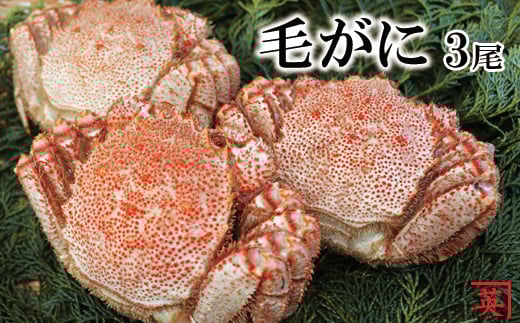 B-27011 【北海道根室産】ボイル毛蟹300g～380g×3尾