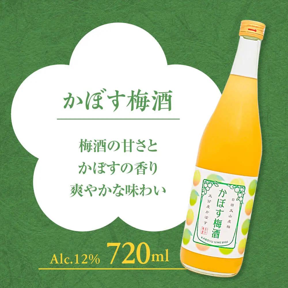 梅酒蔵おおやま 梅酒セット 各720ml / 酒 梅  / 日田市 / 株式会社おおやま夢工房[ARCW013]