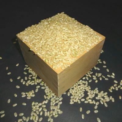 ふるさと納税 美浦村 【6年産】野口勘右衛門のお米「玄米食最適米(ミルキークイーン)」玄米10kg