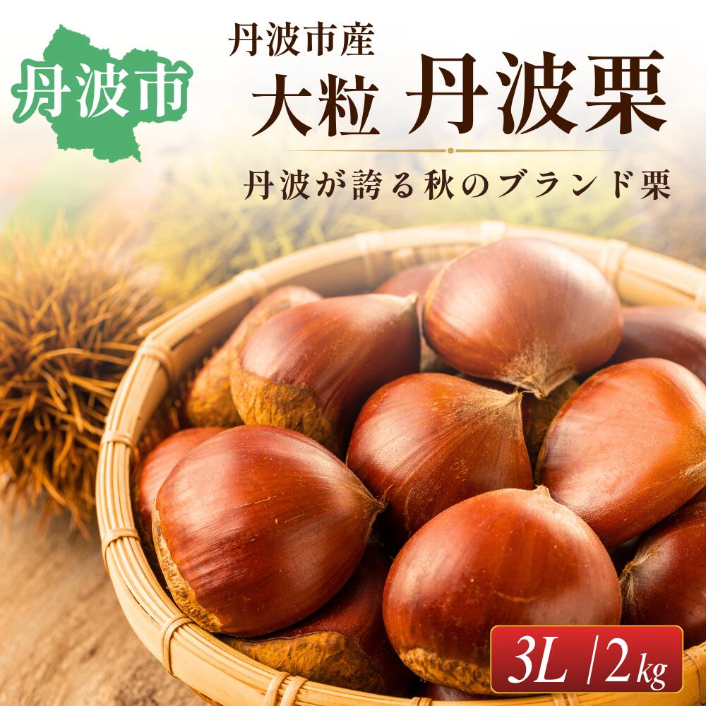 【ふるさと納税】〈先行予約〉丹波市産 丹波栗 3Lサイズ 2kg 数量限定 大粒 特大 生栗 国産 ブランド栗 たんばぐり くり クリ 秋の味覚 栗ご飯 渋皮煮 モンブラン 産地直送 お取り寄せ 兵庫県 丹波市