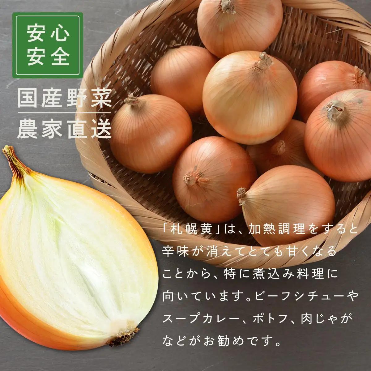 【先行予約】幻の玉ねぎ！札幌黄（さっぽろき）5kg [a168-010] 