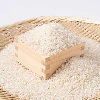 ふるさと納税 大子町 【新米先行予約】アミーゴ米(コシヒカリ)真空キューブ 2合(300g)×12個 計3.6kg|大子町 |  | 02