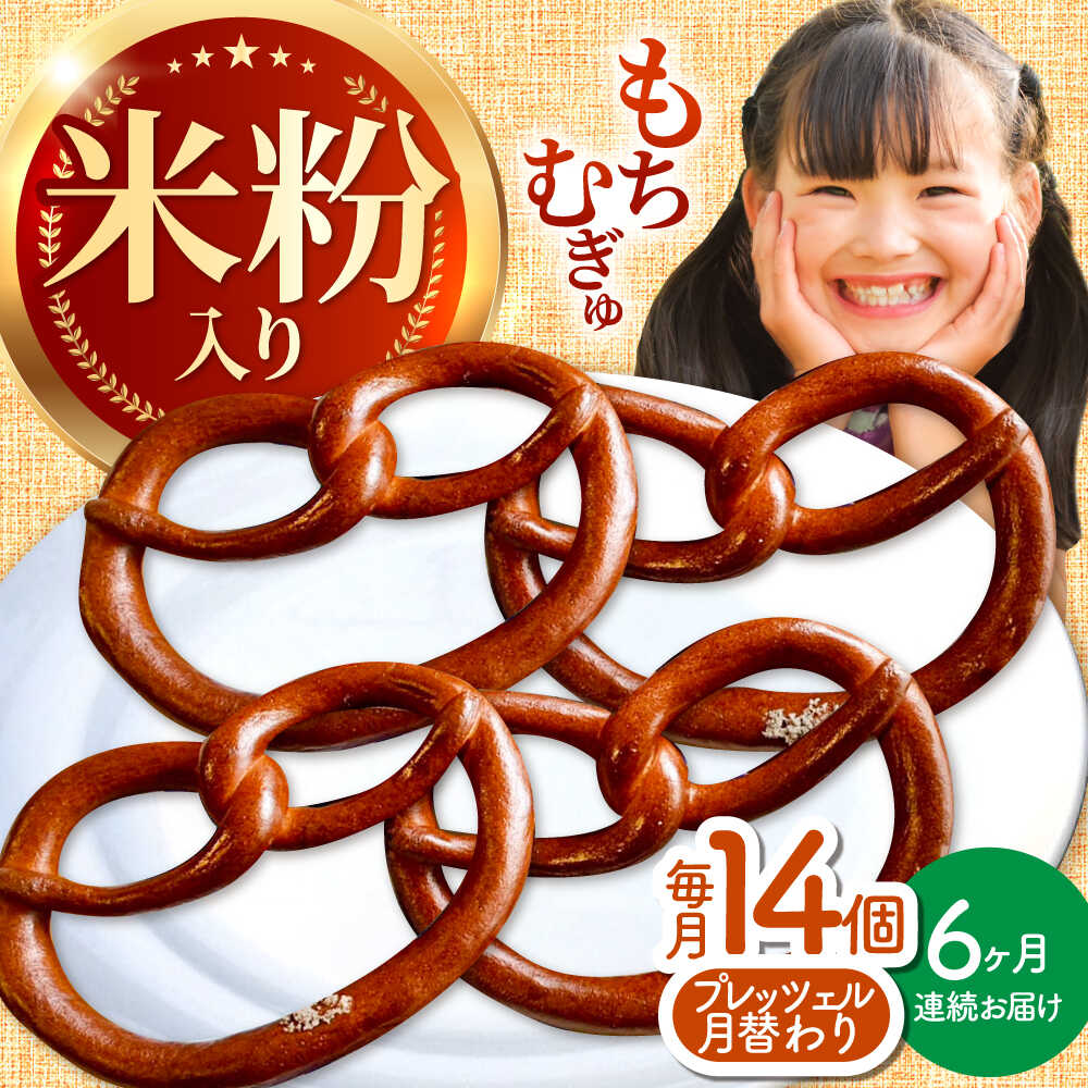 【ふるさと納税】【6回定期便】 月替わり プレッツェル 14個（米粉入り） / おつまみ おやつ 朝ごはん 朝食 昼食 おやつ 間食 パン ベーグル 国産小麦 冷凍 冷凍パン 天然酵母 小麦 国産 お菓子 米粉 ハード Pretzels / 亀山市 / くるくる・ベーグル[AMAT019]