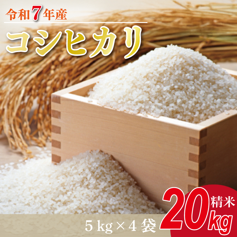 ★新米★R7年産 コシヒカリ 20kg(5kg×4袋)｜米 お米 白米 精米 新米 R7年産 令和7年産 こしひかり コシヒカリ 茨城県 茨城県産 行方市(HA-15)
