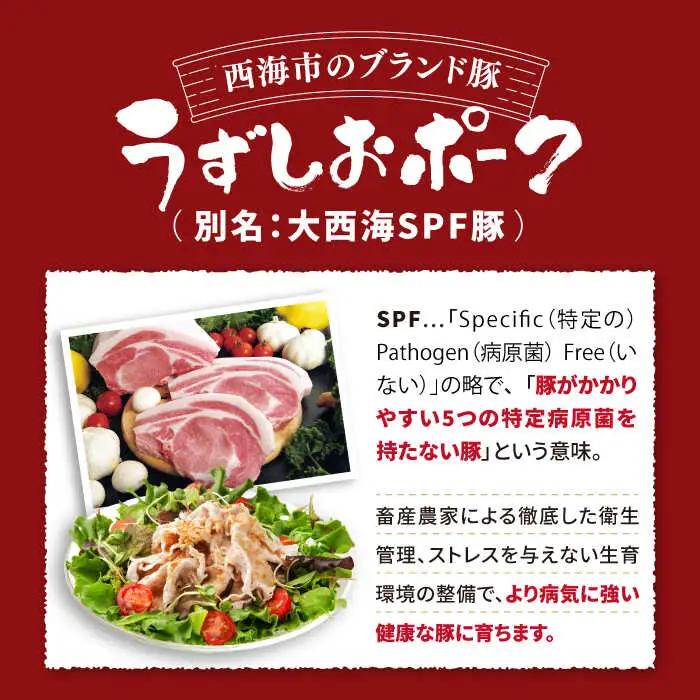 6回定期便 豚肉 大人気3種セット計1.5kg CAG220 国産豚 豚肉 国産豚 バラ