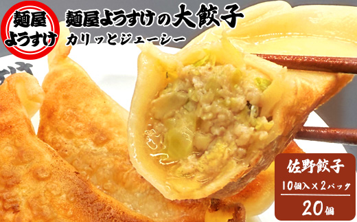 麺屋ようすけ大餃子10個入り×2袋【配送不可地域：離島】