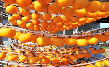 ベニドール干し柿（遠赤外線加工紅干し柿）１０個　0040-2508