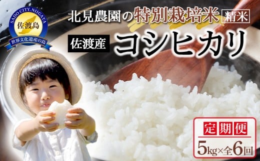 
            【令和7年産】＜米 定期便 全6回＞北見農園の特別栽培米 佐渡産コシヒカリ（5kg×全6回）農家自慢の逸品 精米
          