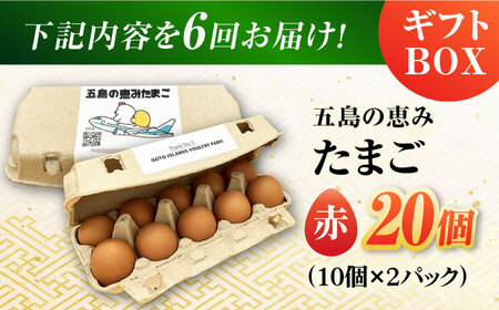 【6回定期便】【ギフトBOX】五島の恵みたまご M-Lサイズ 20個入 / 卵 赤玉子 五島市 / 五島列島大石養鶏場[PFQ012]  玉子 タマゴ 鶏卵 希少 五島列島