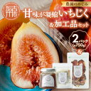 【ふるさと納税】期間限定【農園のめぐみ】甘味が凝縮いちじく750g×2・いちじく加工品セット《 数量限定 限定 果物 くだもの フルーツ いちじく 無花果 送料無料 》