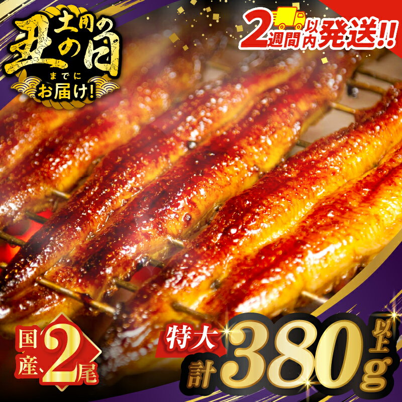 【ふるさと納税】≪2週間発送≫≪選べる配送≫ うなぎ 蒲焼 特大 2尾 さんしょう たれ付き 計380g以上 総重量1.14kg以上 定期便 丑の日 母の日 父の日 国産 鰻 ウナギ うな重 おすすめ 贈り物 ギフト 鰻楽 小分け 真空パック 宮崎県 都農町 送料無料 レビューキャンペーン