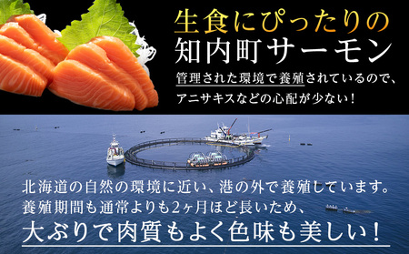 国産☆スモーク サーモンスライス 知内町産☆〈冷凍〉500g×2 ふるさと納税 鮭 冷凍サーモン 切り落とし 海鮮 小分け 北海道 知内 サケ 鮭 サーモン スモーク トラウトサーモン
