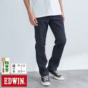 【ふるさと納税】EDWIN 503 レギュラーストレートパンツ MENS【5色／8サイズ】E50313