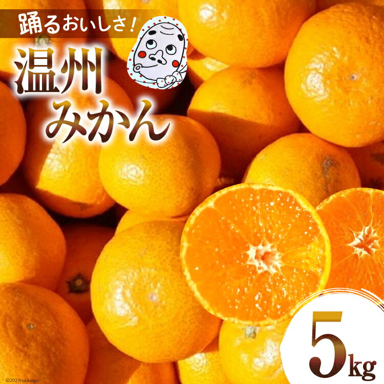 【ふるさと納税】【期間限定発送】踊るおいしさ！甘くてジューシー 温州みかん 5kg [奈須農園 宮崎県 日向市 452061477] 果物 フルーツ 柑橘 みかん ミカン