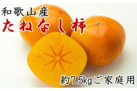 柿 先行予約 大容量 かき 旬 / 【秋の味覚】和歌山産のたねなし柿ご家庭用約7.5kg※2024年10月上旬～2024年11月上旬頃に順次発送【tec410】