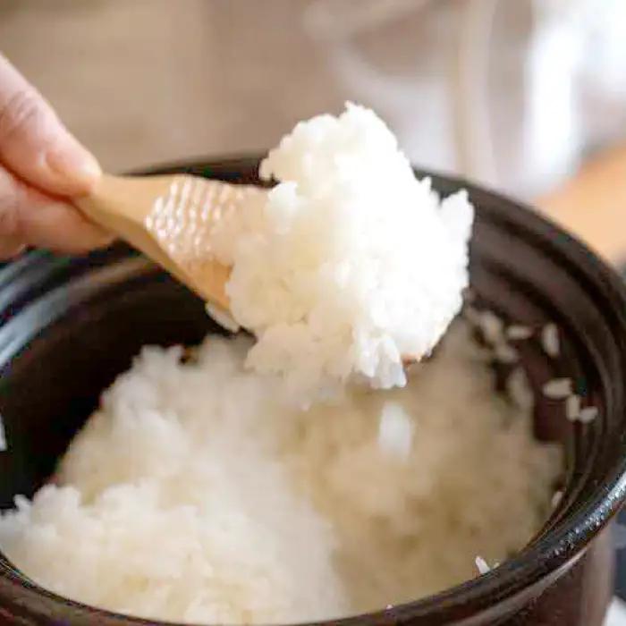 ≪9回定期便≫特別栽培米 出雲國ご奉納コシヒカリ 窒素充填4kg×9回【ギフト プレゼント 贈答用 AKOMEYA TOKYO 令和7年度産】