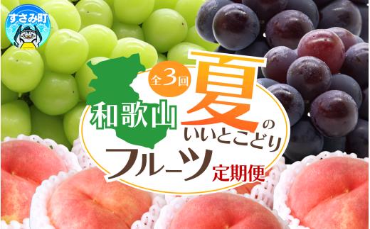 
                  【3回定期便】【7・8・9月】夏のいいとこどりフルーツ定期便♪桃・ピオーネ・シャインマスカット【tkb360】
                