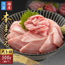 【ふるさと納税】【最新鋭の冷凍技術 刺身用】本まぐろ 大トロ 500g（柵どり）[B-107002] / まぐろ マグロ 鮪 本マグロ 本まぐろ 刺身用 お刺身 500g 柵どり 大トロ まぐろ丼 国産 冷凍 送料無料