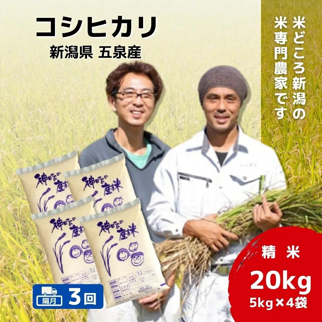 【定期便3回】令和8年産 コシヒカリ 20kg(5kg×4袋)×3回 隔月 こしひかり | 新潟県 五泉市 コシヒカリ