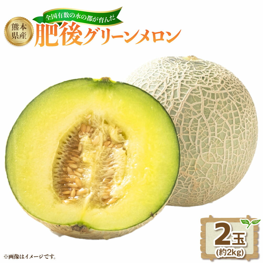 【ふるさと納税】熊本県産肥後グリーンメロン 2玉（約2kg） 【2026年5月上旬発送開始】 熊本県産 国産 肥後 グリーンメロン グリーン メロン おやつ 果物 果実 フルーツ 2玉 2kg 九州 熊本県 送料無料