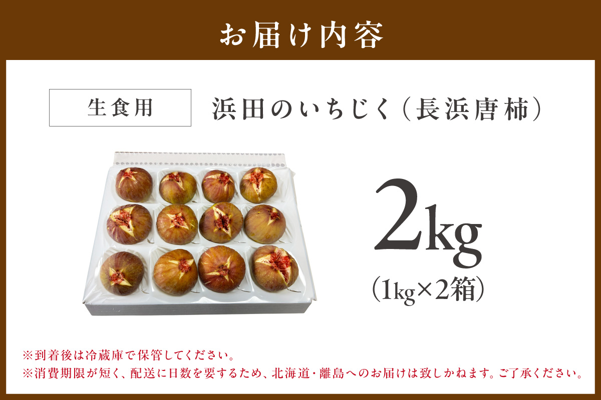 浜田のいちじく懐かしの味！長浜唐柿（蓬莱柿）生食用約2kg 産地直送 新鮮 旬 フルーツ 果物 デザート くだもの 8月下旬から発送【113_2058】