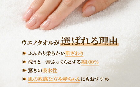 【泉州タオル】おしぼりタオル 5枚セット（同色） ｜ ハンドタオル ウォッシュタオル 大判 ハンカチ 厚手 吸水 汗拭き タオル キッチン お手拭き ゲストタオル 無地 綿100% 日本製 セット ま