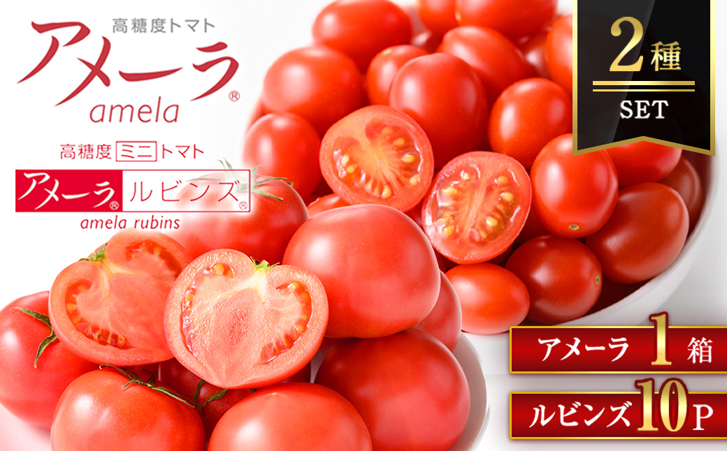 【先行予約】アメーラ＆ルビンズ10P ｜ トマト 野菜 国産