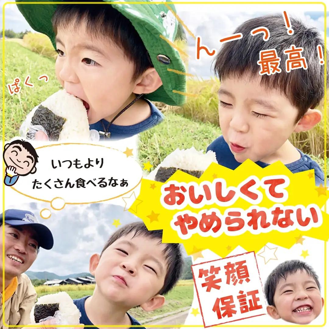 佐渡島産にじのきらめき 白米 5kg 令和8年産 特別栽培米 土屋農園 195962-041302