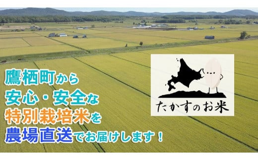 【6回定期便】ゆめぴりか （無洗米） 10kg×6回 【2025年10月下旬より発送開始】 合計60kg 北海道 鷹栖町 たかすのお米 特別栽培米 米 コメ ご飯 無洗米 お米 ゆめぴりか