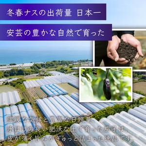 【6回定期便】朝採れナス 約3kg×6回 高知県安芸市｜ナス AZ006