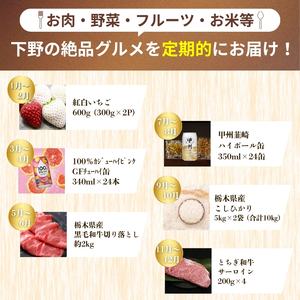 下野市を堪能!!まんぷく定期便6回 | 紅白いちご 100％ｶｼﾞｭｰﾊｲﾋﾟﾝｸGFﾁｭｰﾊｲ缶 黒毛和牛 甲州韮崎 ハイボール缶栃木県共通返礼品とちぎ和牛サーロイン 栃木県産こしひかり10kg 月