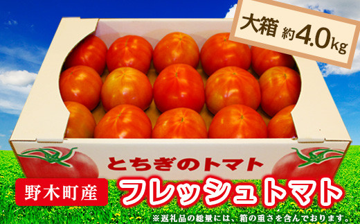 
T03 栃木県野木町産トマト大箱（約4kg）【2023年10月ごろから発送予定】
