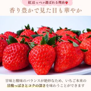 【1月下旬発送】甘熟いちごの紅ほっぺ 1kg (250g×4パック) | いちご 苺 イチゴ 紅ほっぺ べにほっぺ 甘い 完熟 完熟いちご 濃厚 果物 フルーツ おやつ デザート ストロベリー パフェ