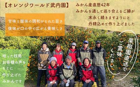 先行予約 和歌山県 完熟 有田みかん 3kg 甘味凝縮 小粒 産直44年 武内園