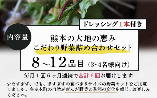 【定期便6回】熊本の大地の恵み≪ 野菜で野菜を食べる ≫ 旬のこだわり 野菜 ＆ドレッシング セット (3〜4名様向け) 野菜 獲れたて 8～12品 直送 旬 新鮮 定期便 野菜ドレッシング 詰め合わ